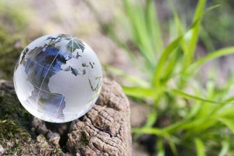 Ein nachhaltiger Firmenumzug schont die Umwelt