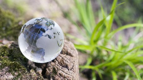 Nachhaltiger Firmenumzug mit Domberger