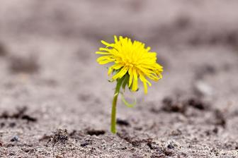 Wie wirkt sich ein Umzug auf die Psyche aus? Wir klären auf!